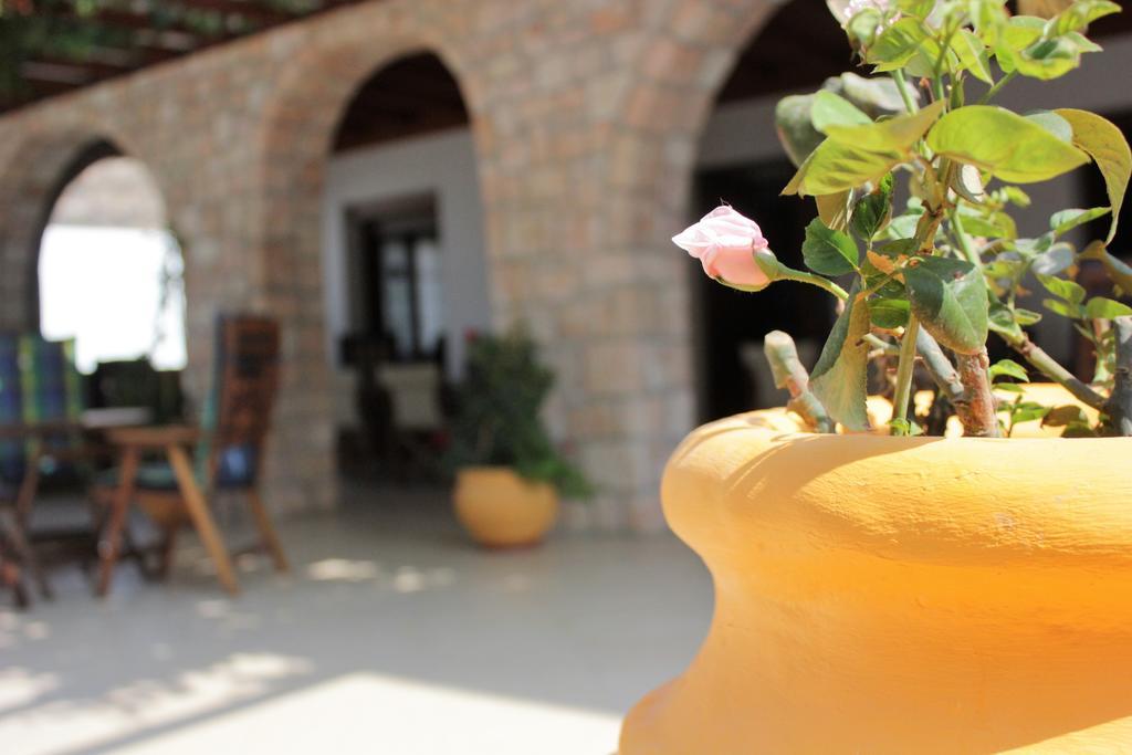 Hotel Delfini Adamantas  ภายนอก รูปภาพ